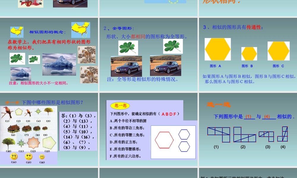 图形的相似课件