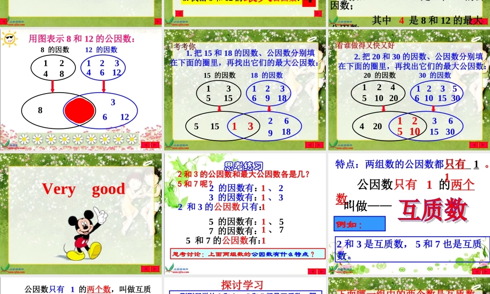 北师大版数学五年级上册《找最大公因数》PPT课件
