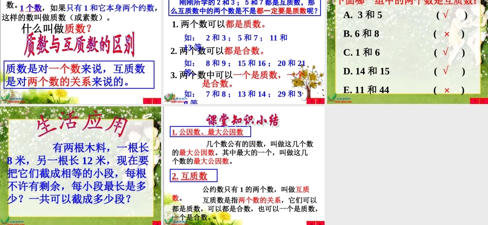 北师大版数学五年级上册《找最大公因数》PPT课件