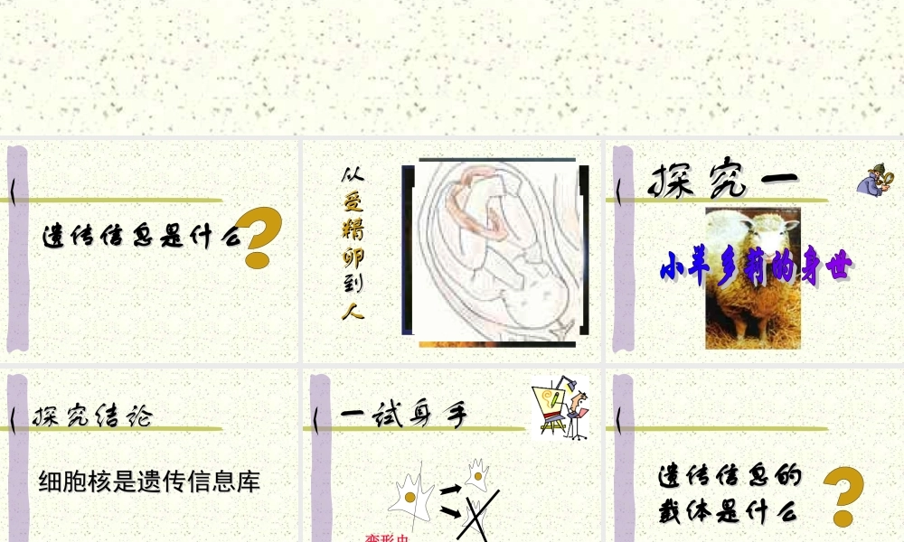 细胞核是遗传信息库