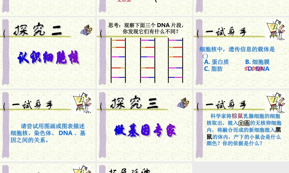 细胞核是遗传信息库
