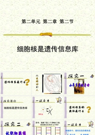 细胞核是遗传信息库