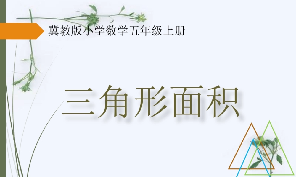 三角形面积的实际问题