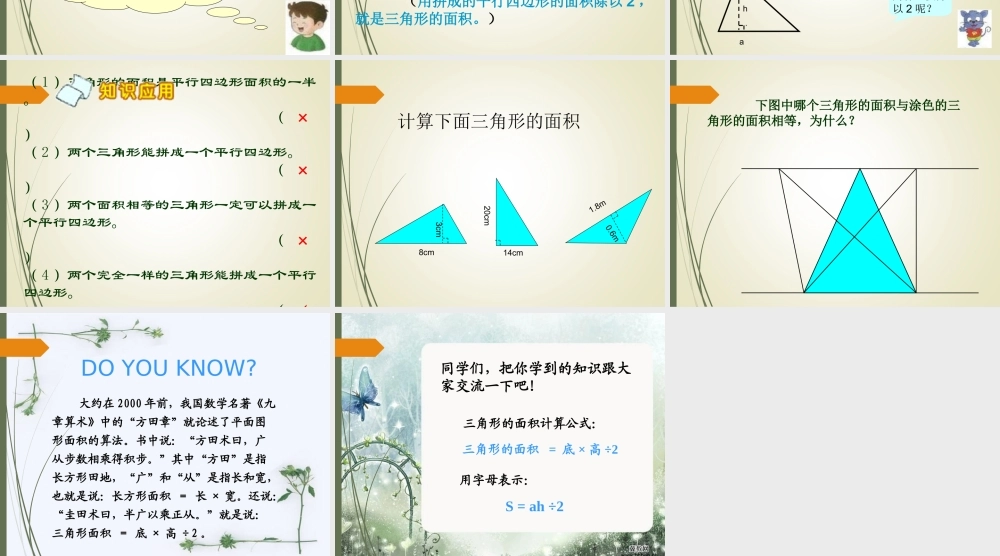 三角形面积的实际问题