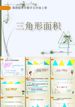 三角形面积的实际问题