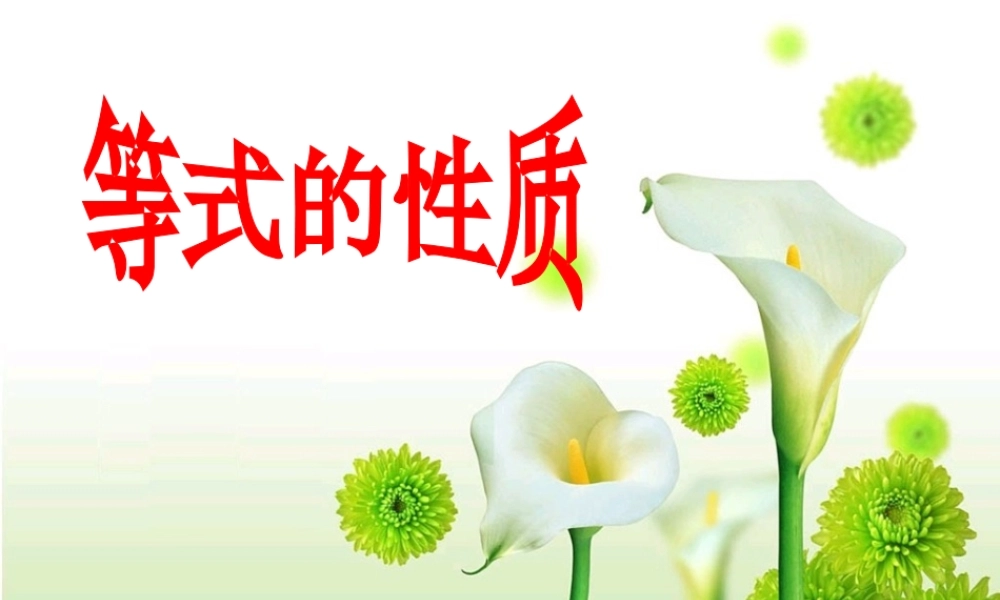 3.1.2-等式的性质
