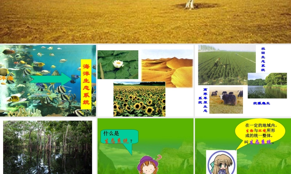 1、2、1多种多样的生态系统