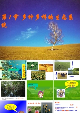 1、2、1多种多样的生态系统