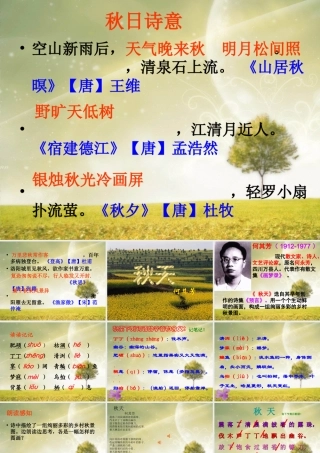 秋天.PPT