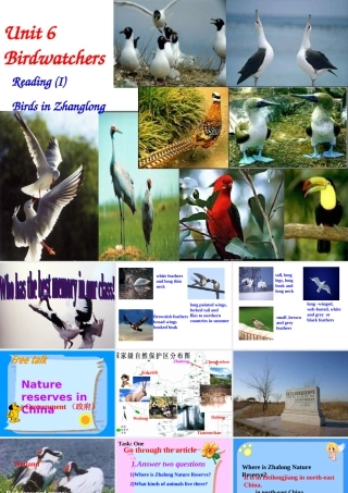 Unit6Reading-(2)