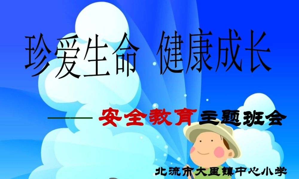 2珍爱我们的生命