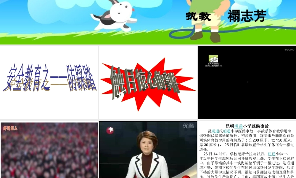 2珍爱我们的生命