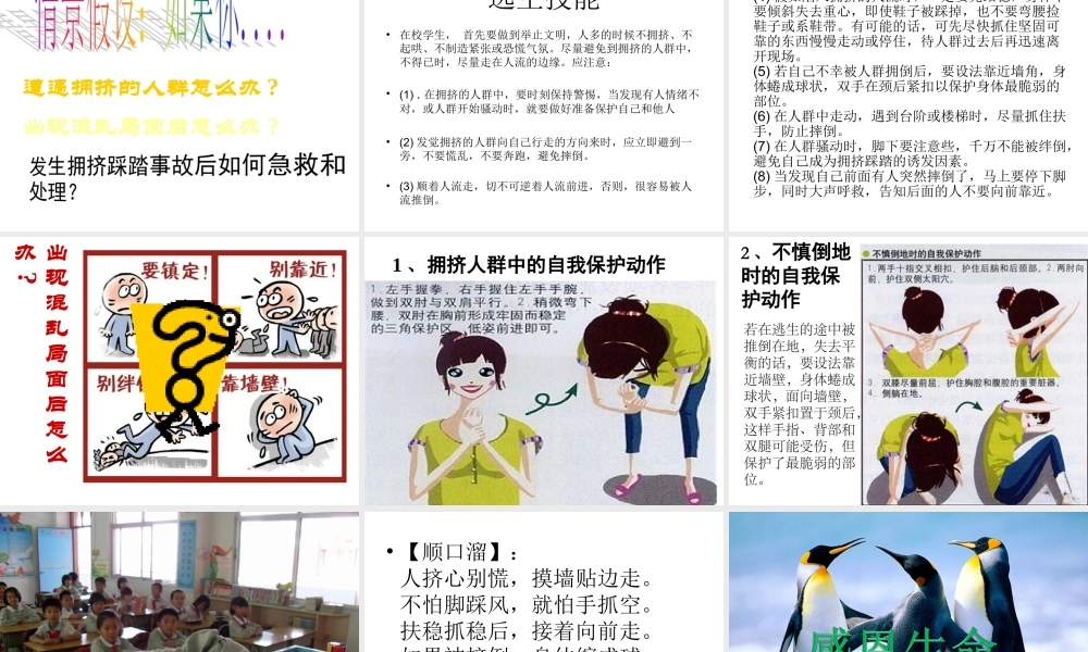 2珍爱我们的生命