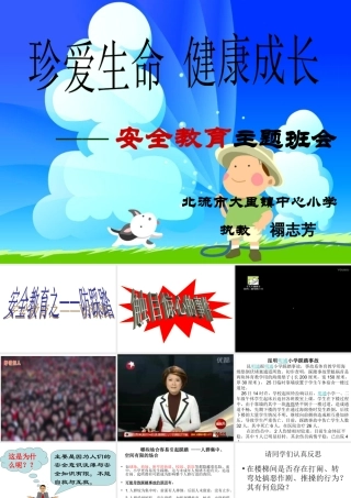 2珍爱我们的生命