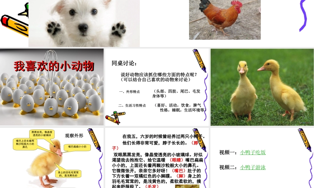 单元四作文——我喜欢的小动物