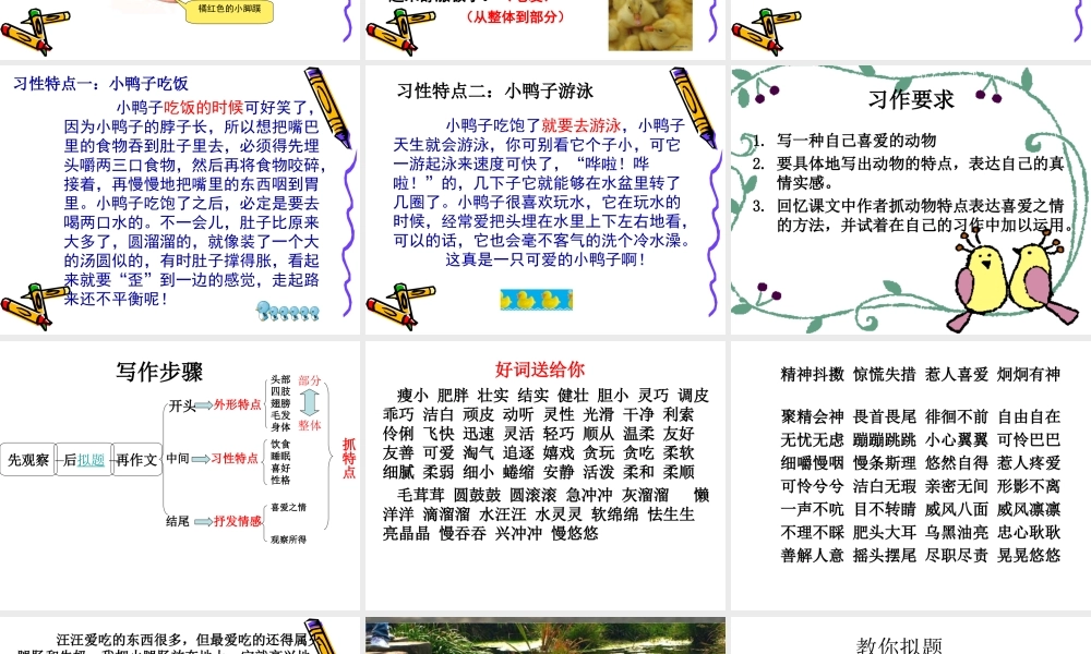 单元四作文——我喜欢的小动物