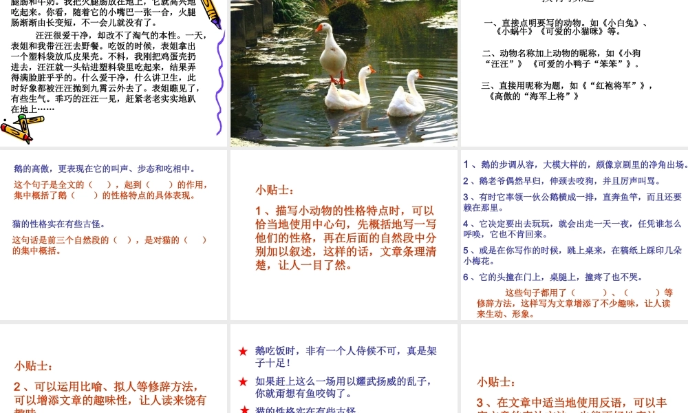 单元四作文——我喜欢的小动物