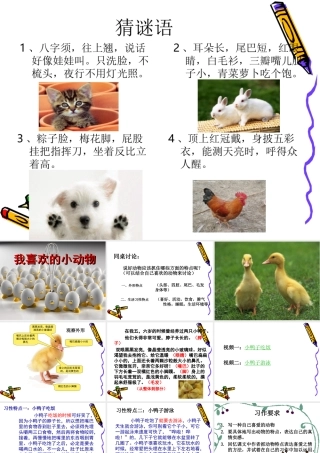 单元四作文——我喜欢的小动物