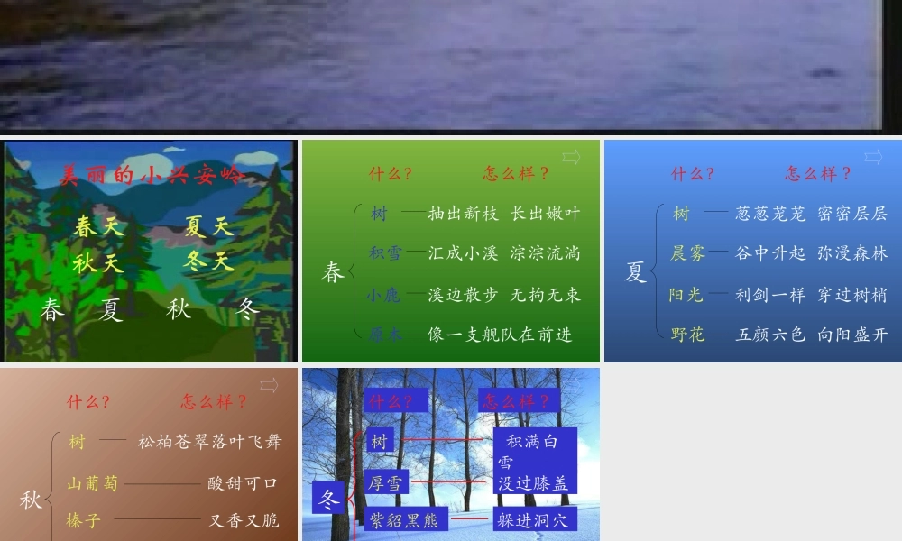 1587人教版小学语文三年级上册《美丽的小兴安岭》PPT课件