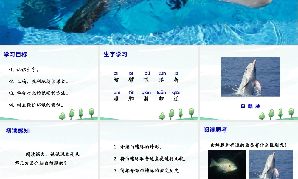《白鳍豚》课件