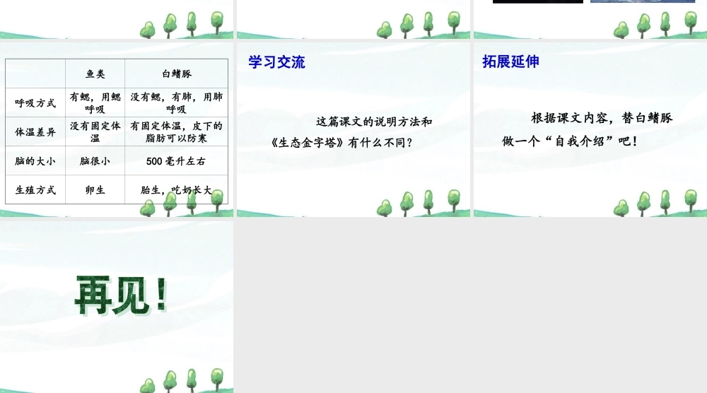 《白鳍豚》课件