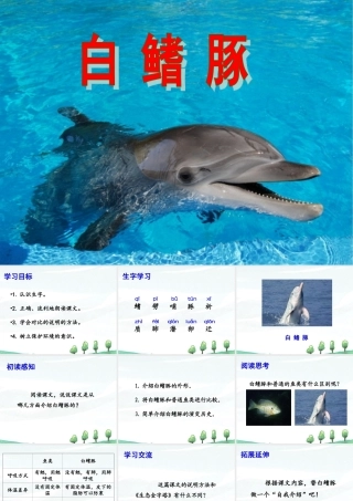 《白鳍豚》课件