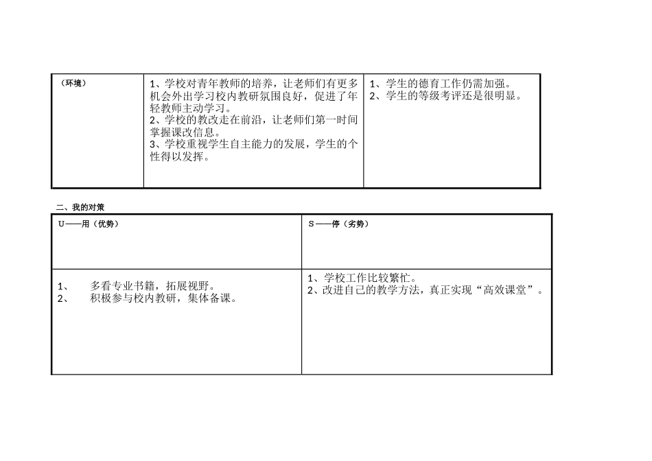 黄武略个人自我诊断SWOT分析表_第2页