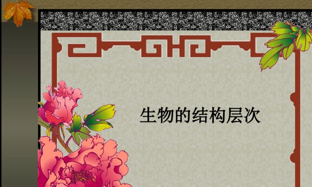 生物的结构层次.PPT