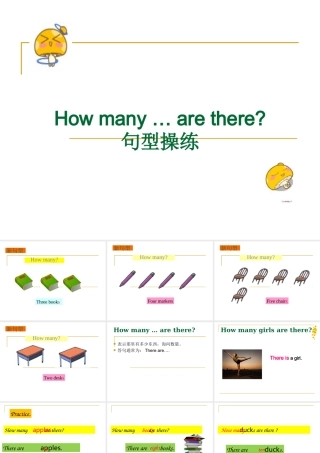 How-many-句型操练