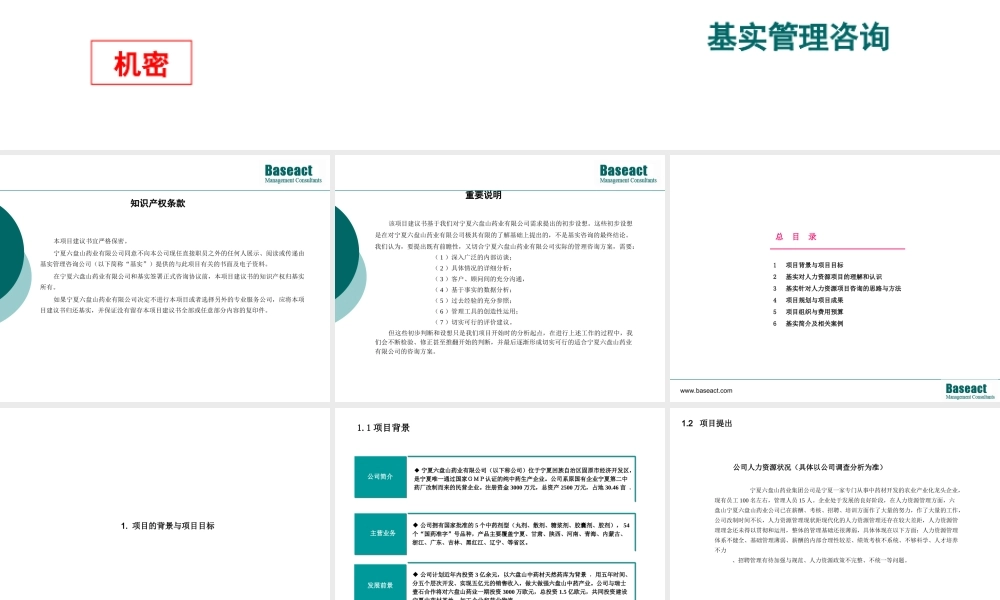 六盘山药业人力资源项目建议书