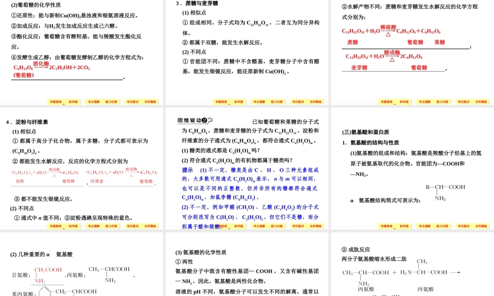 基本营养物质有机合成4480