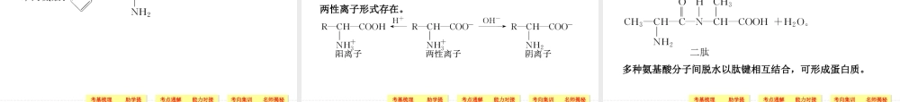 基本营养物质有机合成4480