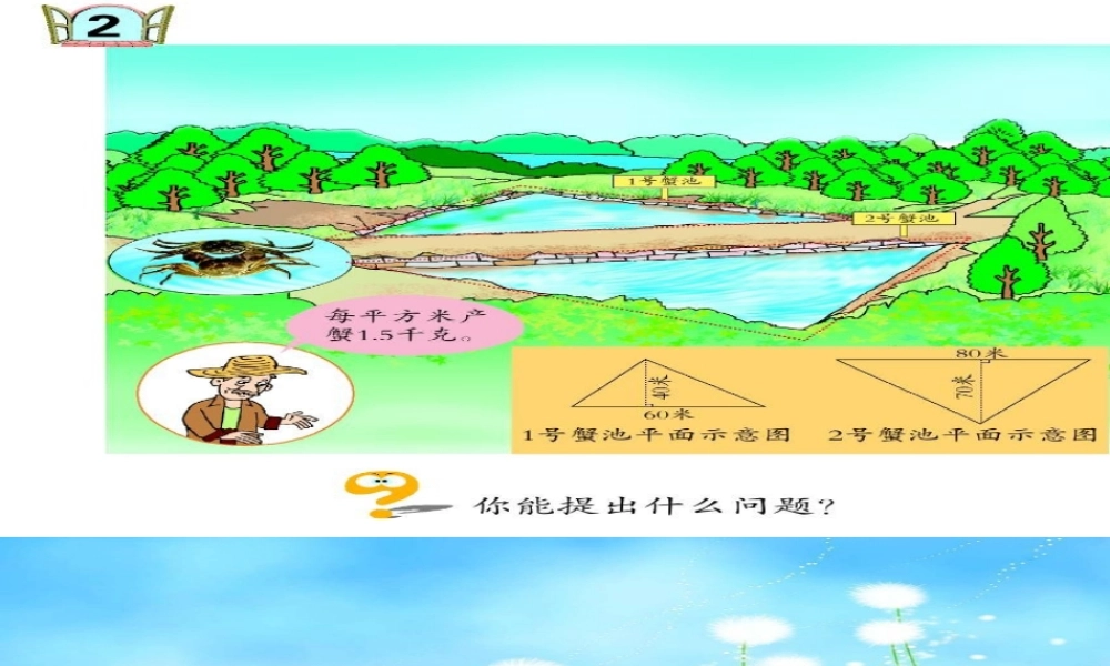 【素材】《三角形分类》三角形(西南师大)