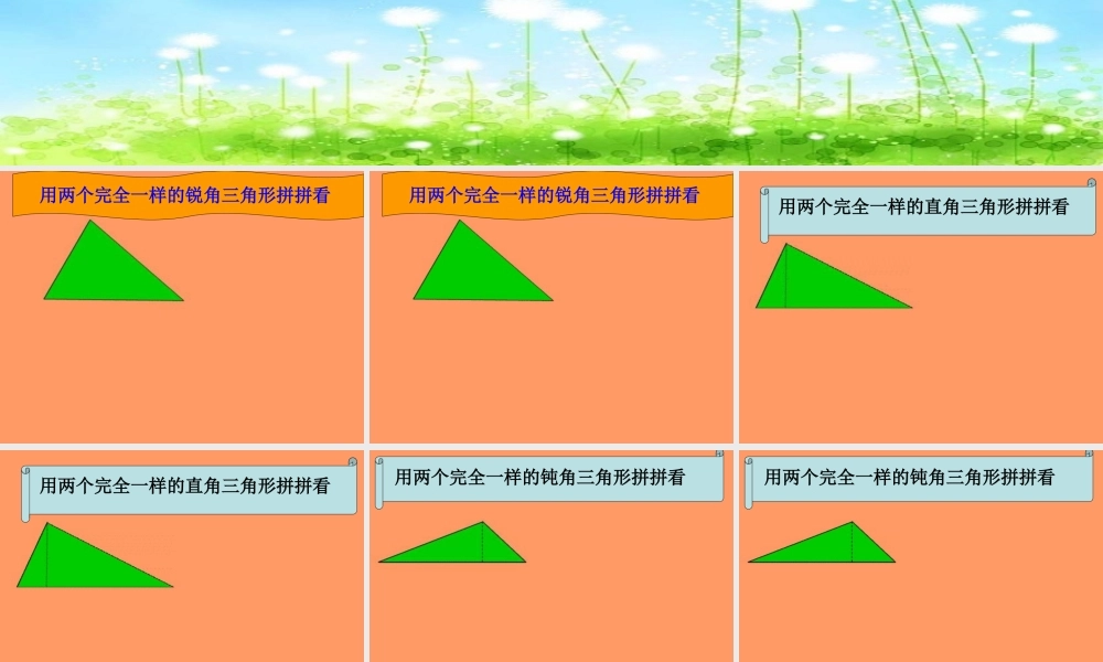 【素材】《三角形分类》三角形(西南师大)