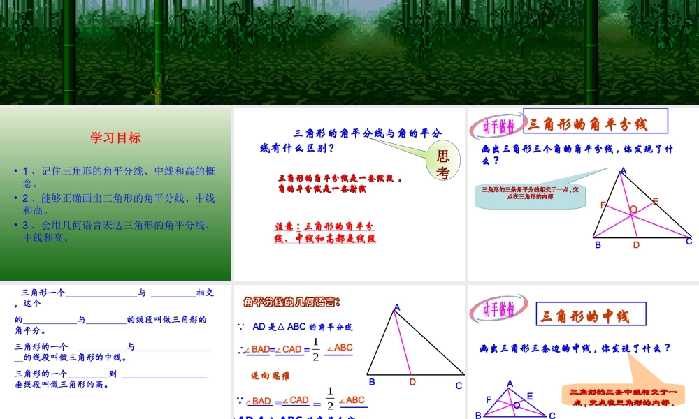 三角形角平分线、中线和高
