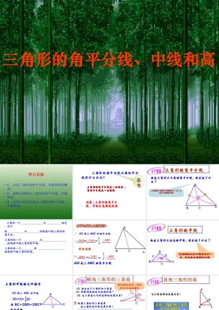 三角形角平分线、中线和高