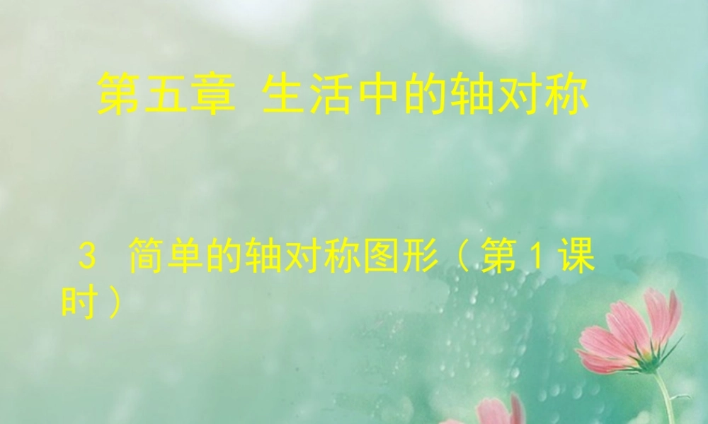 简单的轴对称图形(1)-(2)