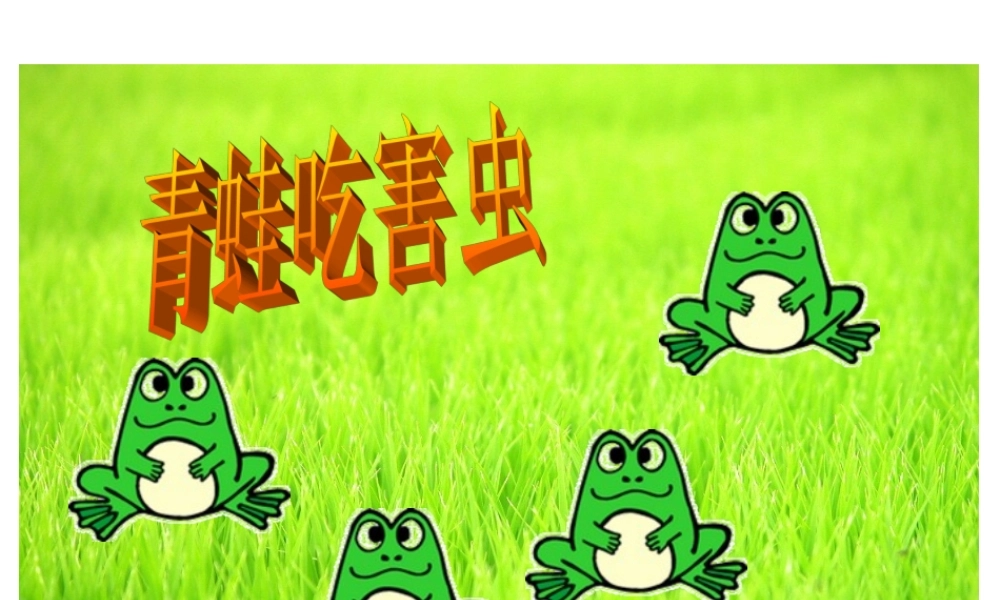 青蛙吃虫子课件