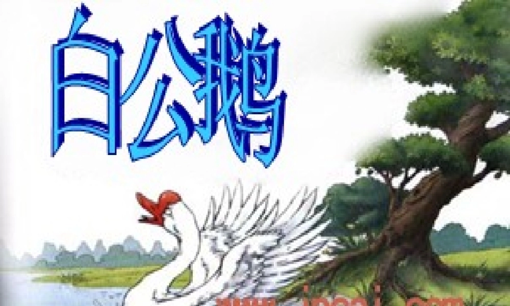 《白公鹅》课件