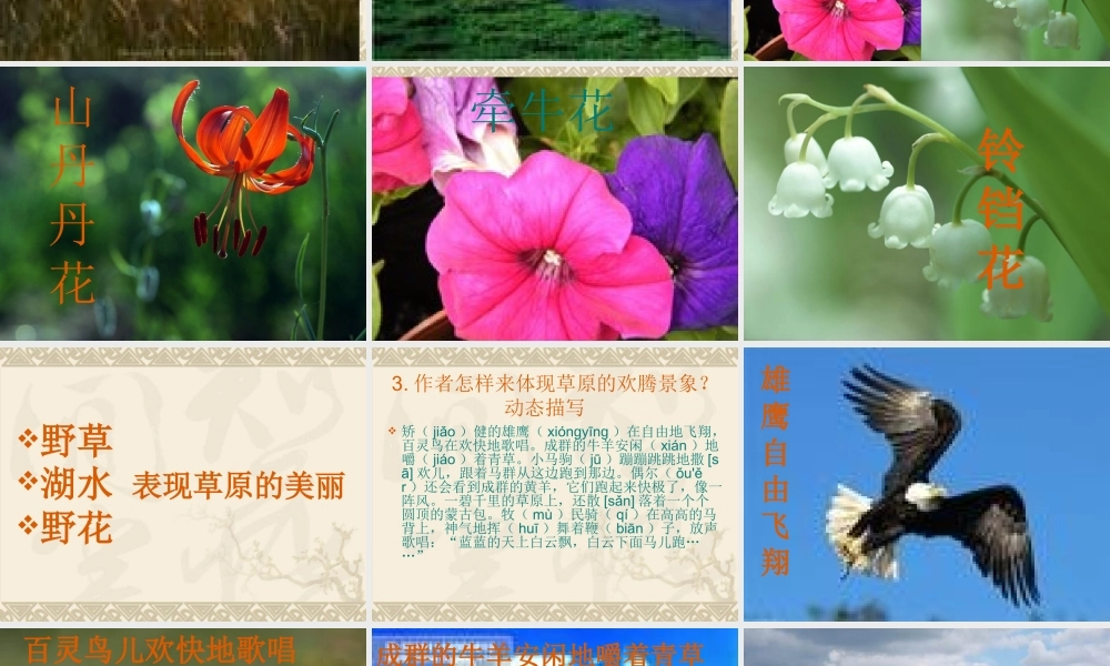 锡林郭勒大草原课件