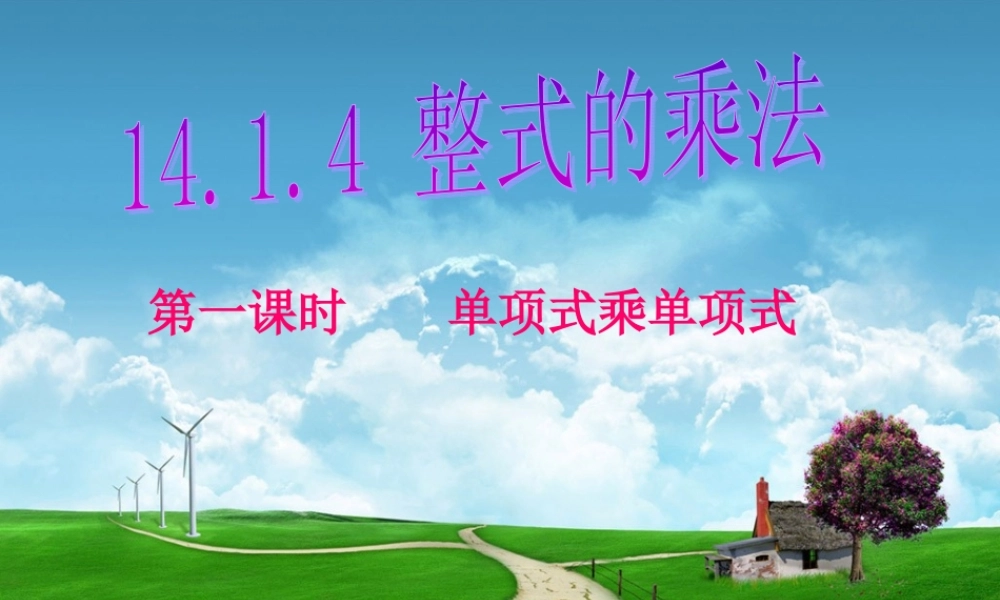 14.1.4整式的乘法(1)