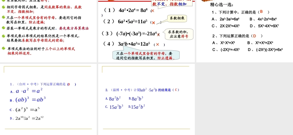14.1.4整式的乘法(1)