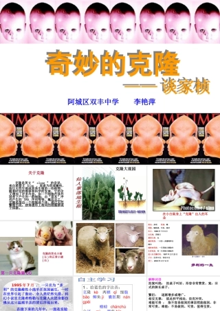 奇妙的克隆课件