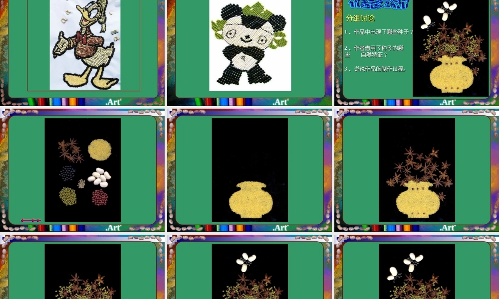 《植物籽粒拼图》