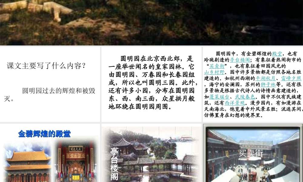 圆明园的毁灭-(3)