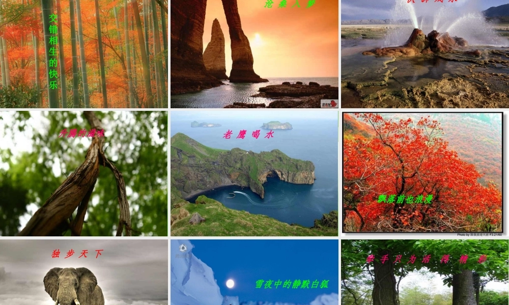 《敬畏自然》课件(68页)