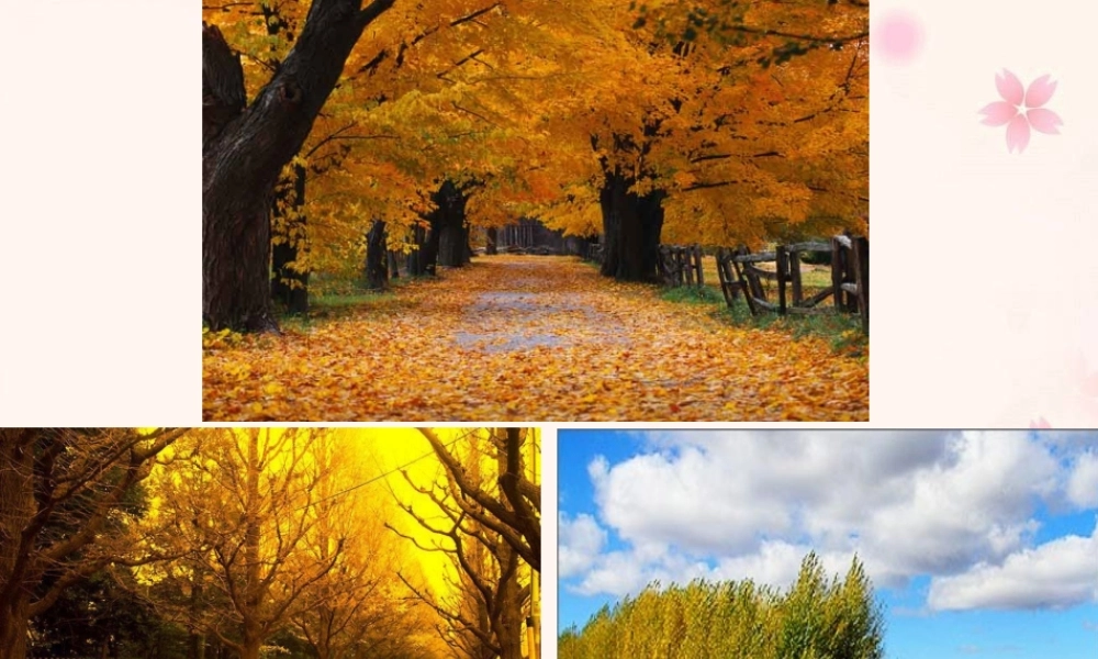 1秋天的图画