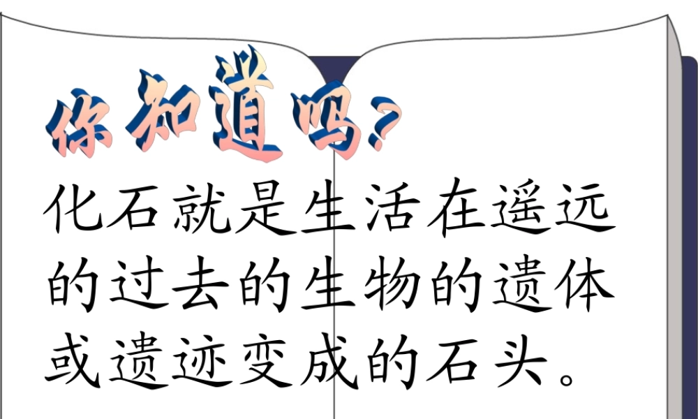 33《活化石》ppt课件8
