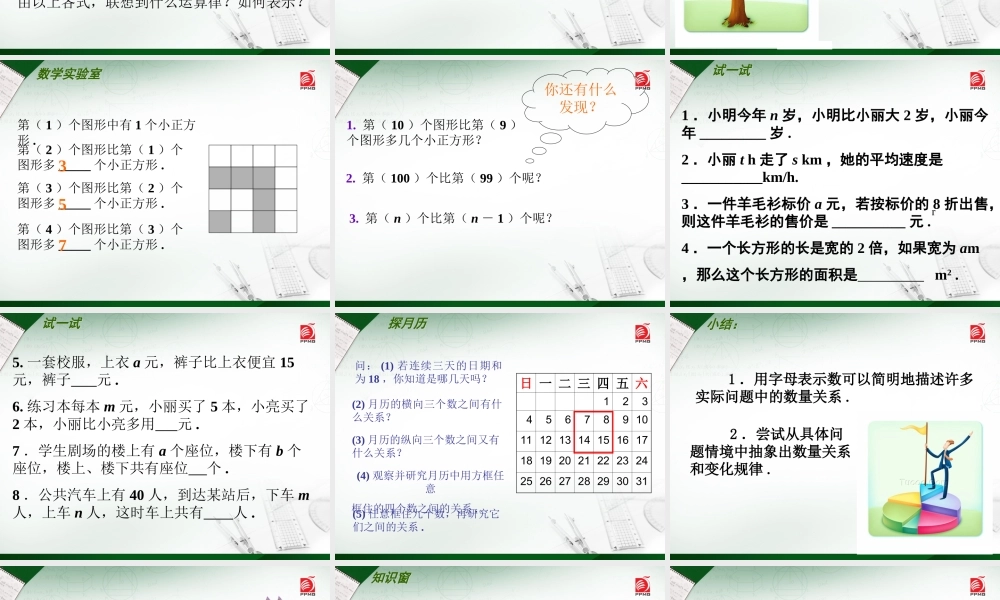 3.1字母表示数