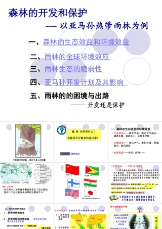 森林的开发和保护──以亚马孙热带林为例